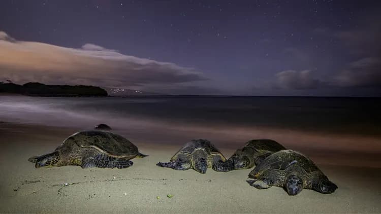 Costa Rica: " Pura vida" - 3