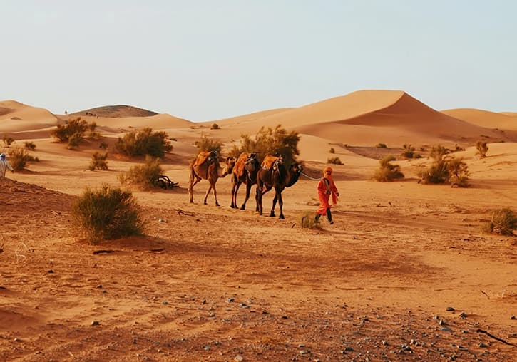 Marruecos especial singles