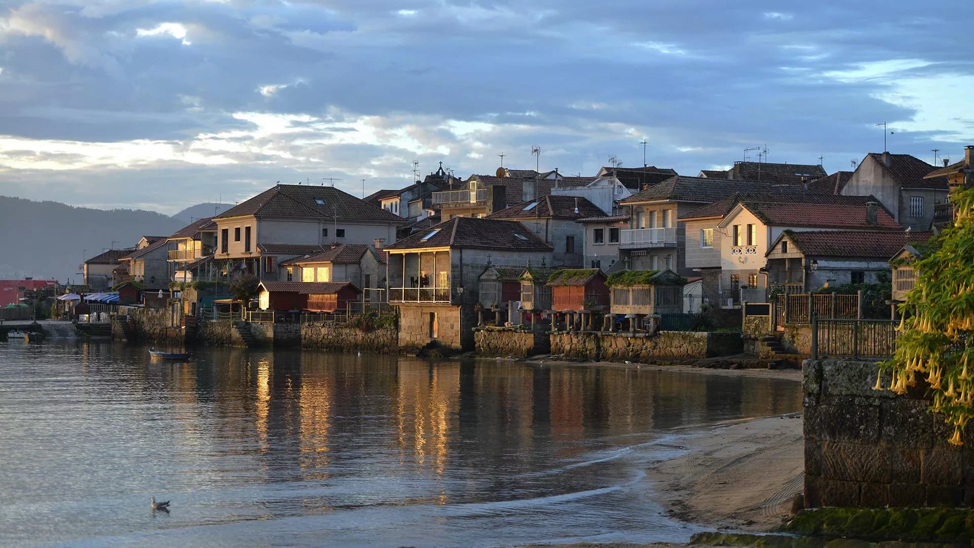 From Santiago: Tour to Rias Baixas with Boat Trip and Winery - 3