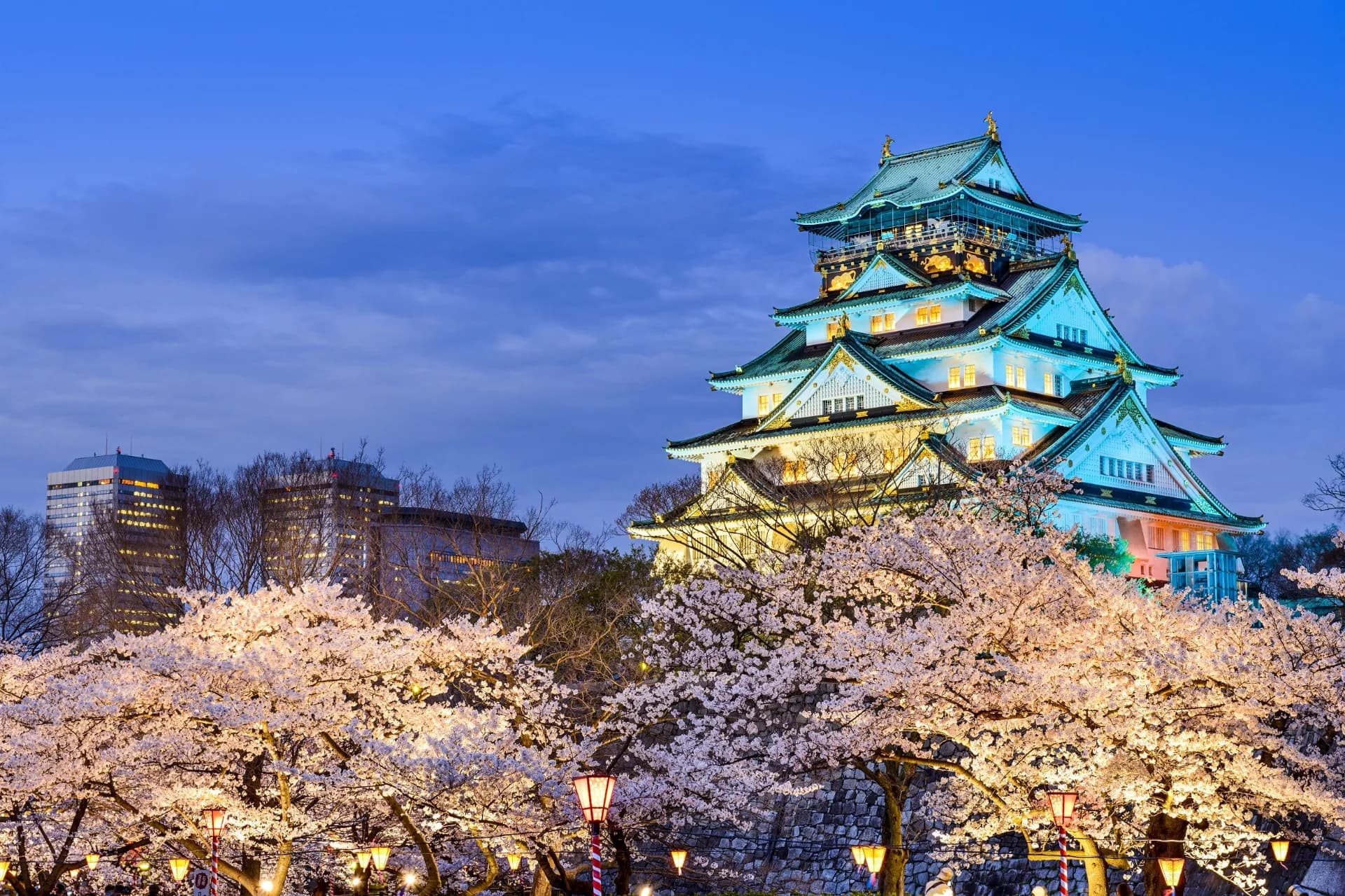 Exclusivo singles 12 días JAPÓN " Tradición y modernidad." - 8