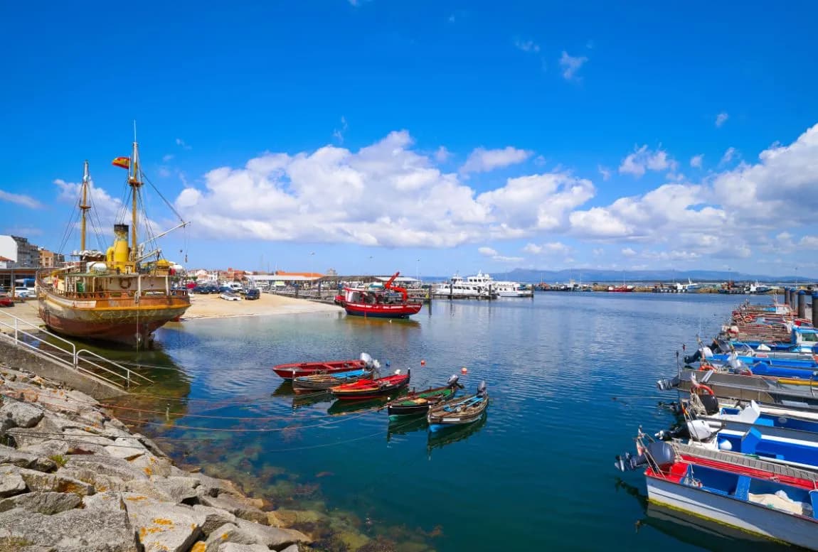 From Santiago: Tour to Rias Baixas with Boat Trip and Winery - 4