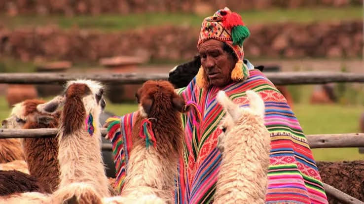 Exclusivo singles 12 días Joyas de PERÚ e Inti Raymi - 5