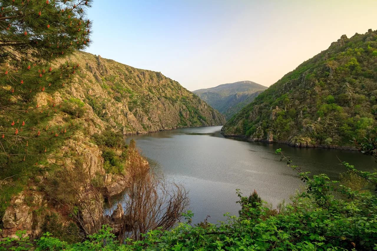 From Santiago: Ribeira Sacra Tour & Boat Trip - 2